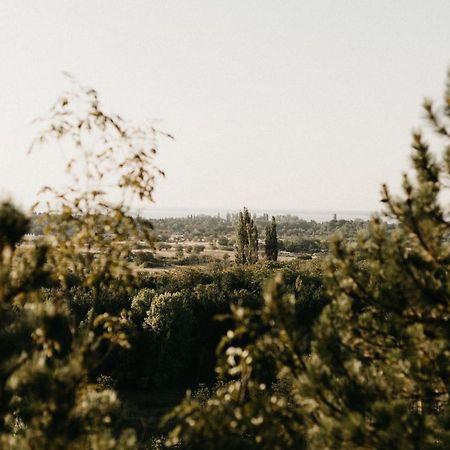 Vikendhaz Villa Vonyarcvashegy Dış mekan fotoğraf